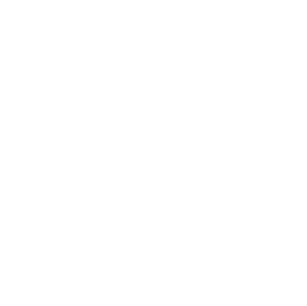 icon_reseaux_sociaux