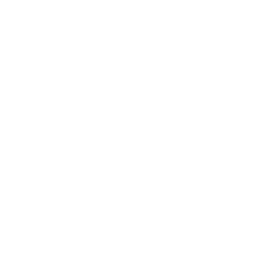 icon_flyers